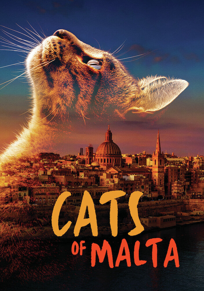 Cats of Malta - 