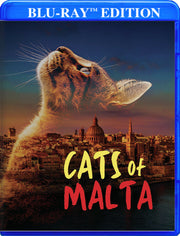 Cats of Malta - 