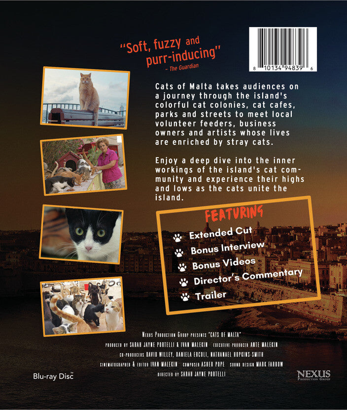 Cats of Malta - Back Panel - 