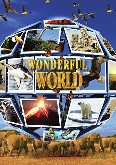 Wonderful World - 