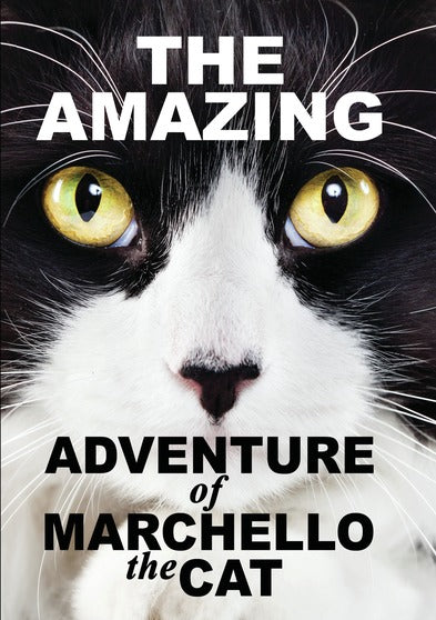 The Amazying Adventure of Marchello The Cat - 