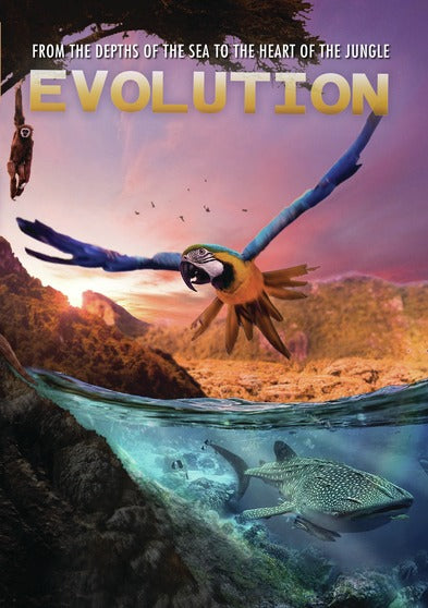 Evolution - 