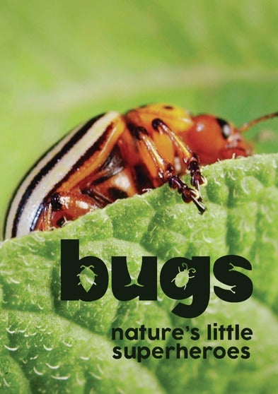 Bugs: Nature's Little Superheroes - 