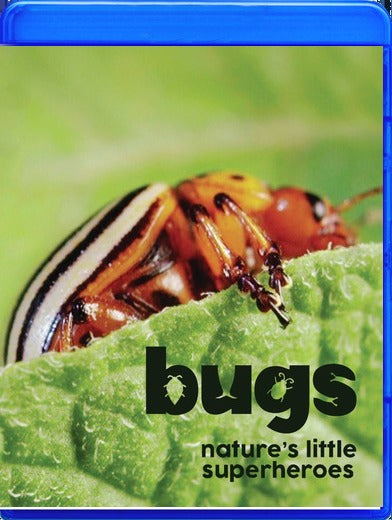 Bugs: Nature's Little Superheroes - 
