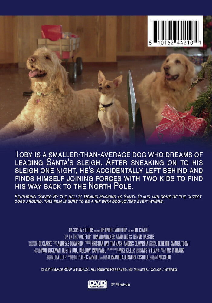 Up on the Wooftop - Back Panel - 