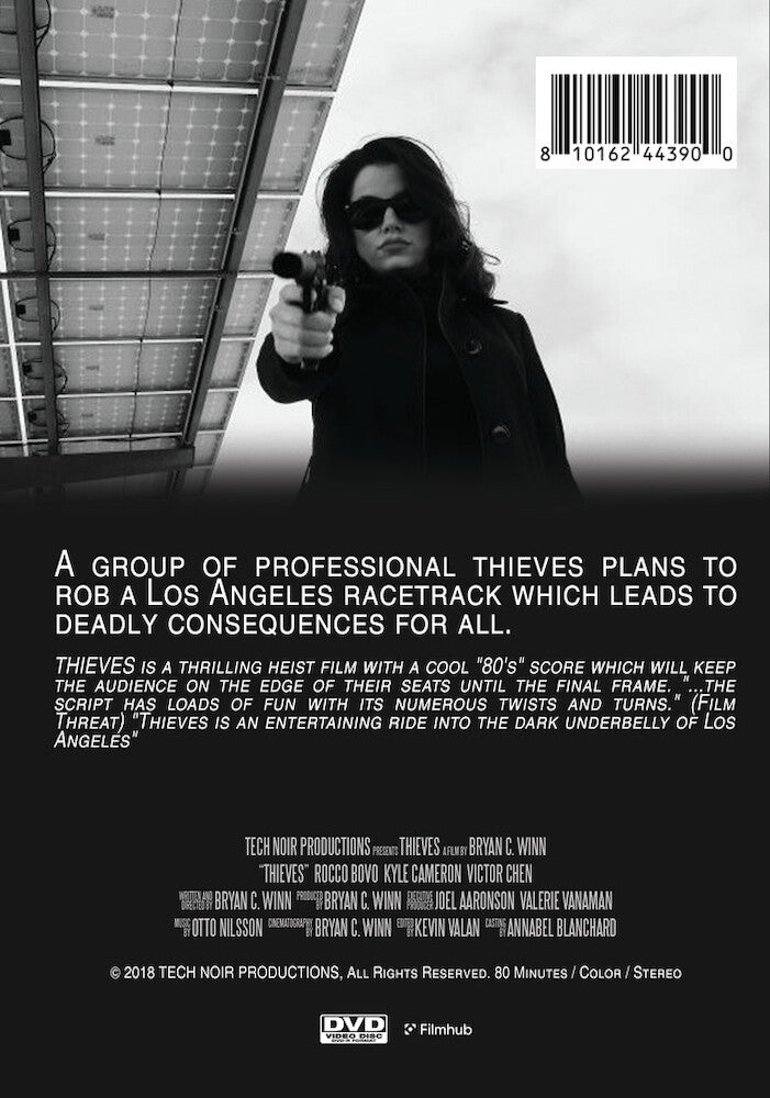 thieves - Back Panel - DVD