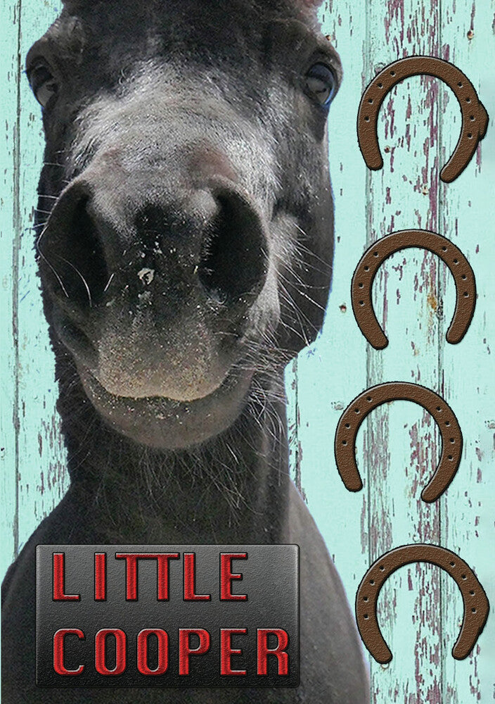 little cooper - DVD