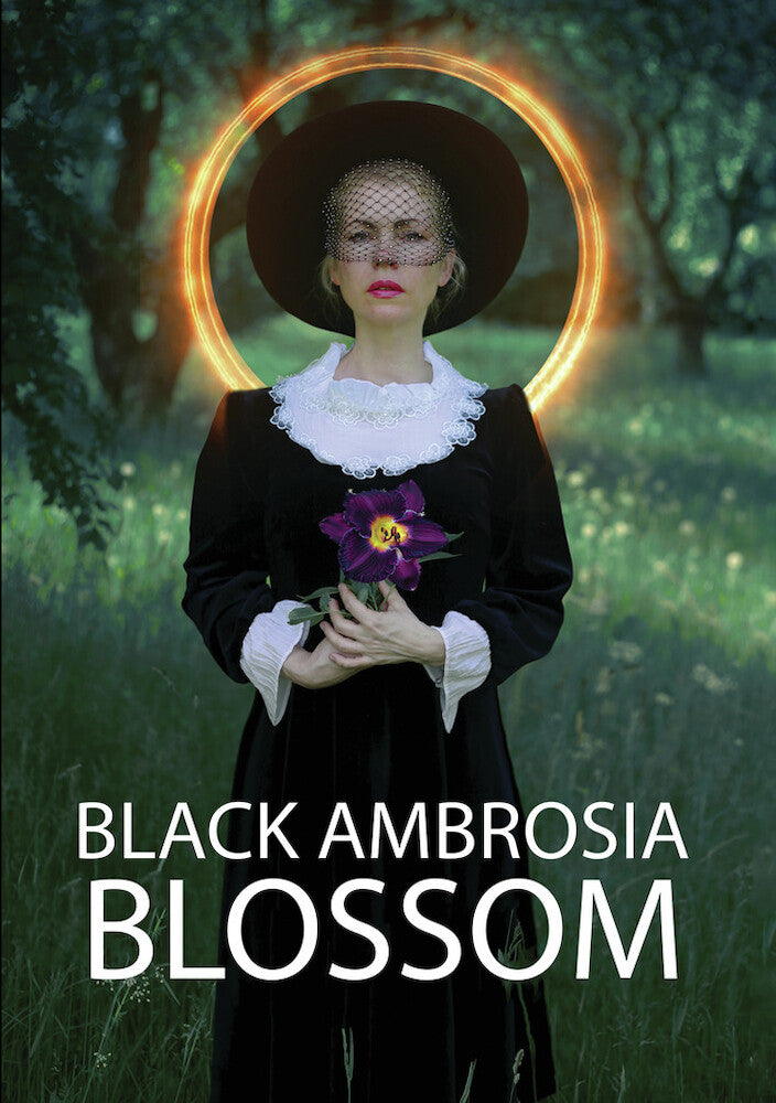 black ambrosia blossom - DVD