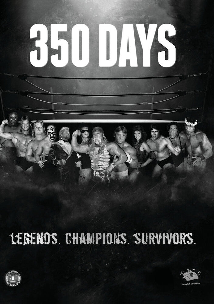 350 days - DVD