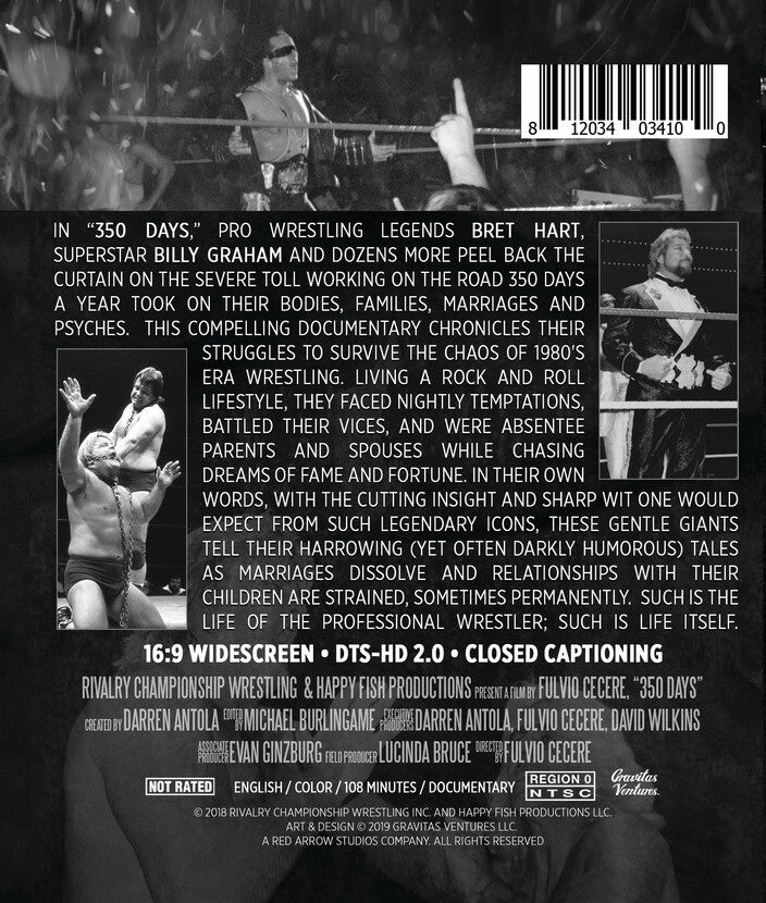 350 days - Back Panel - Blu-ray