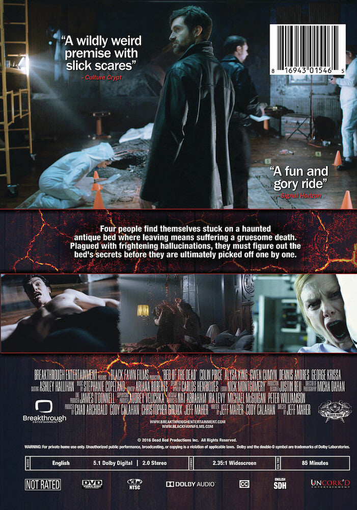 the dwelling - Back Panel - DVD