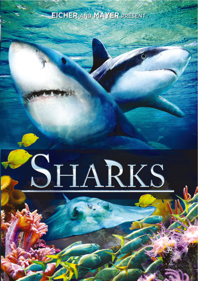 Sharks - 