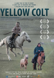 Mongolian Invasion - Yellow Colt - 