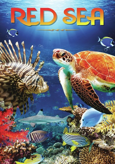 Red Sea - 
