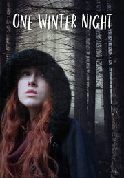 One Winter Night - 