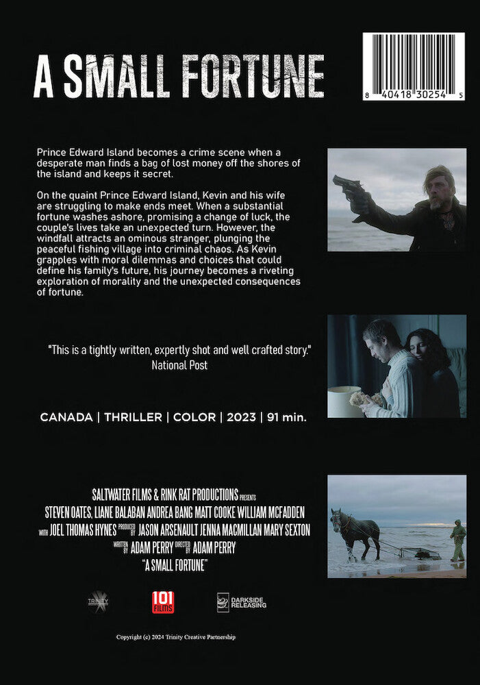 a small fortune - Back Panel - DVD