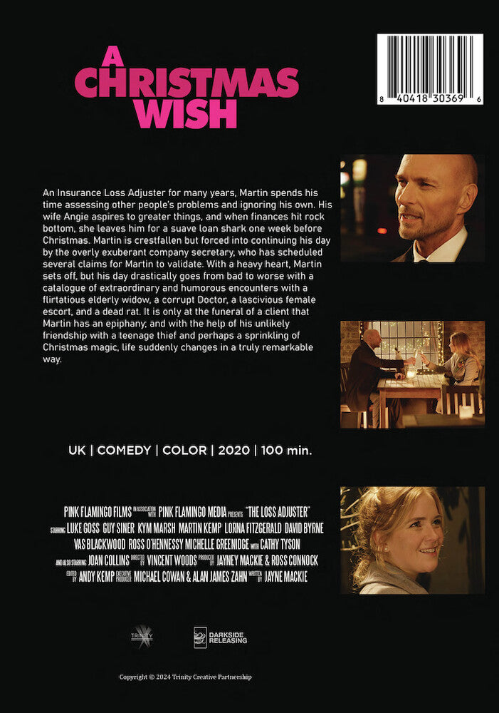 a christmas wish - Back Panel - DVD
