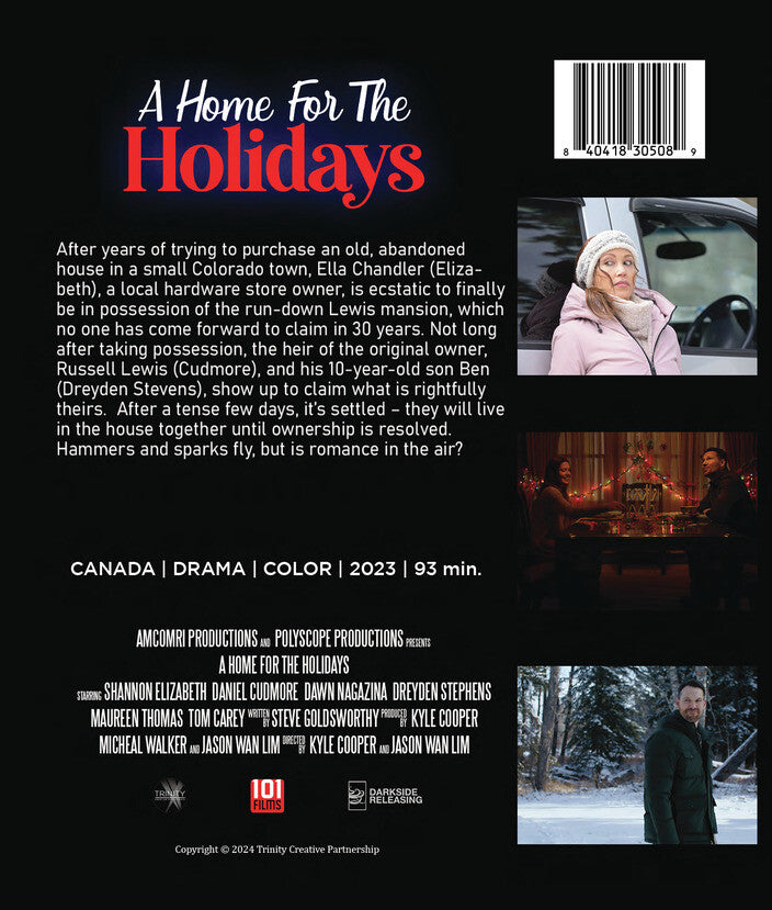 a home for the holidays - Back Panel - Blu-ray