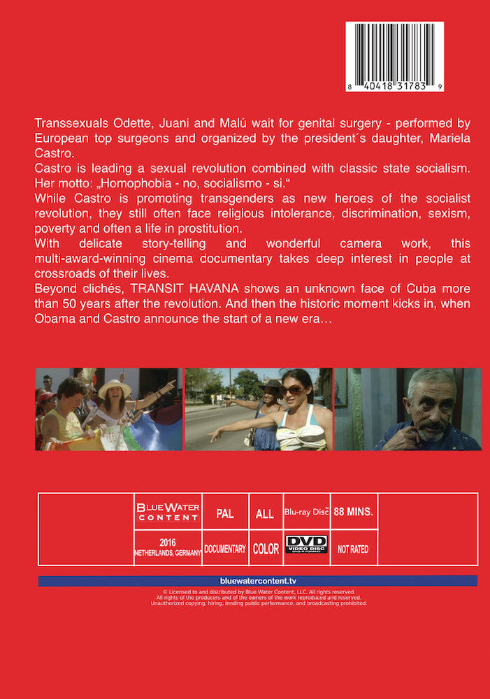Transit Havana - Back Panel - 