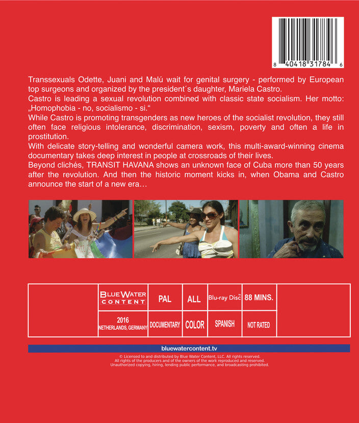 Transit Havana - Back Panel - 