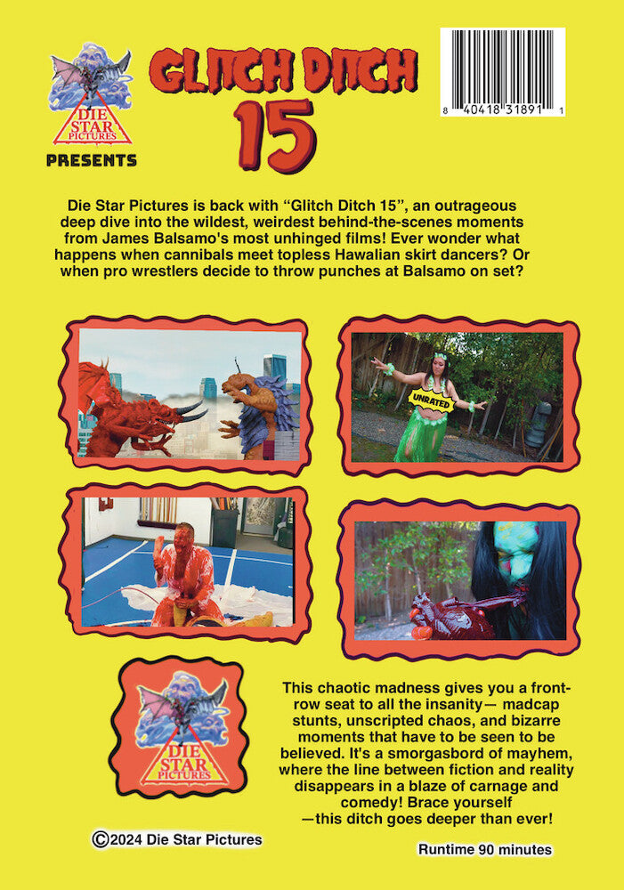 Glitch Ditch 15 - Back Panel - 