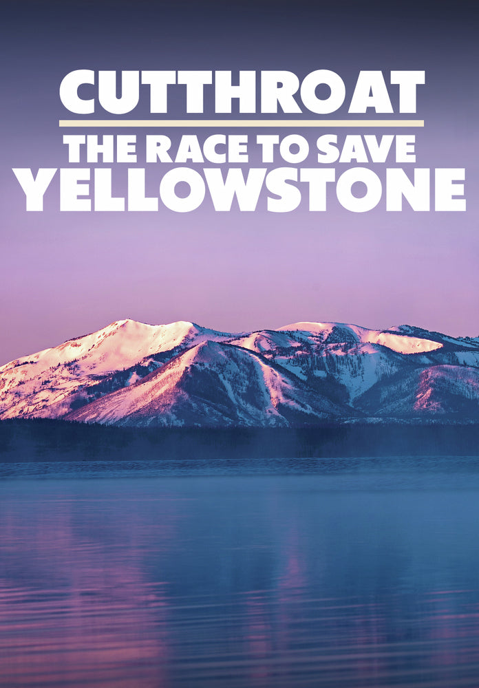 Cutthroat: The Race to Save Yellowstone - 