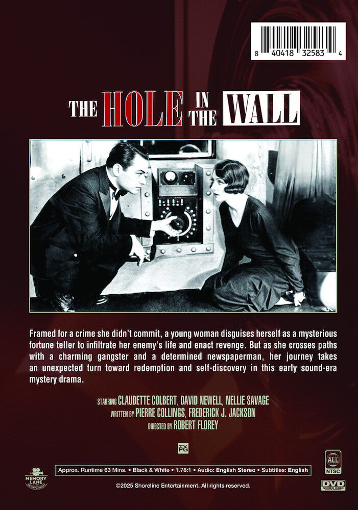 the hole in the wall - Back Panel - DVD