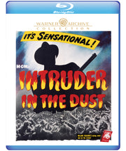 Intruder In the Dust - 