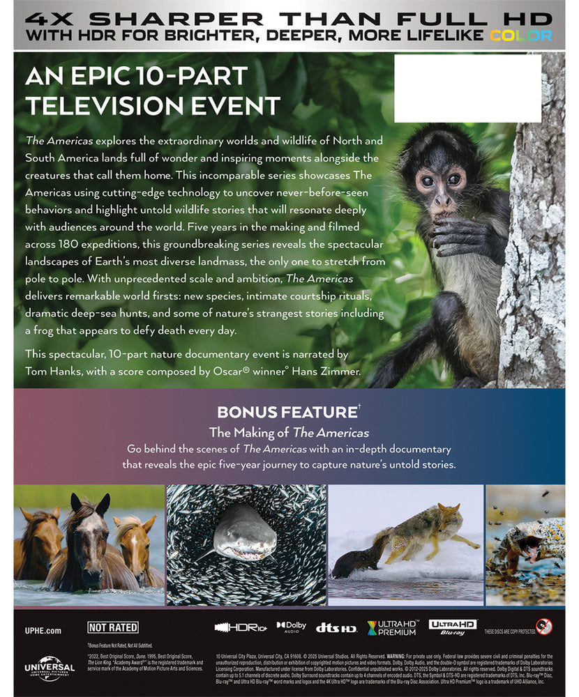 the americas: complete limited series - Back Panel - 4K UHD