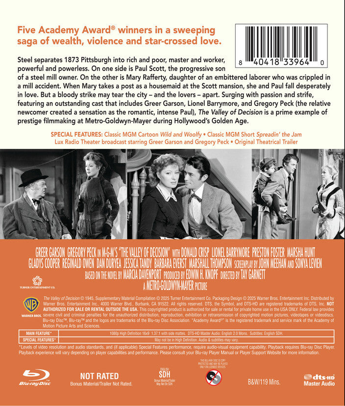 the valley of decision - Back Panel - Blu-ray