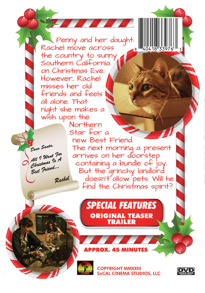 a bengal for christmas - Back Panel - DVD