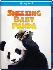 Sneezing Baby Panda - 