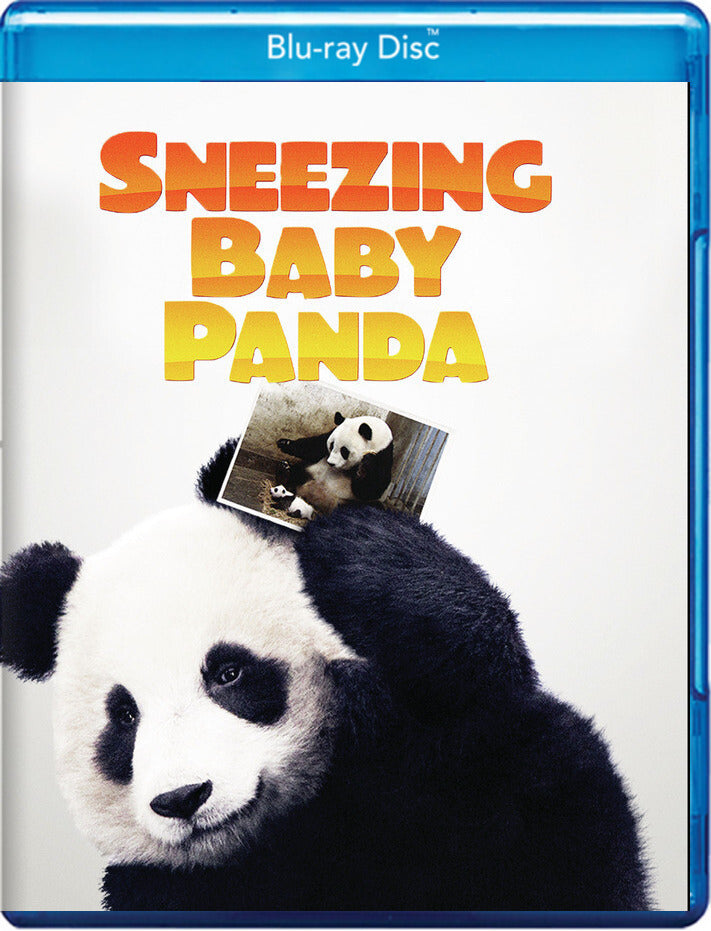 Sneezing Baby Panda - 