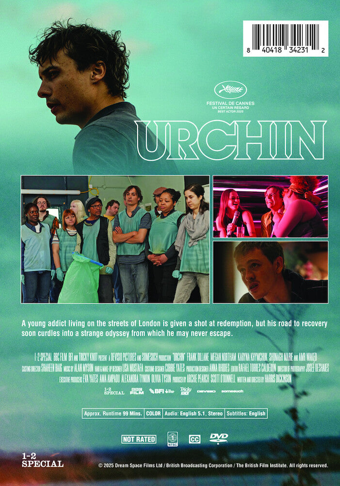 Urchin - Back Panel - 