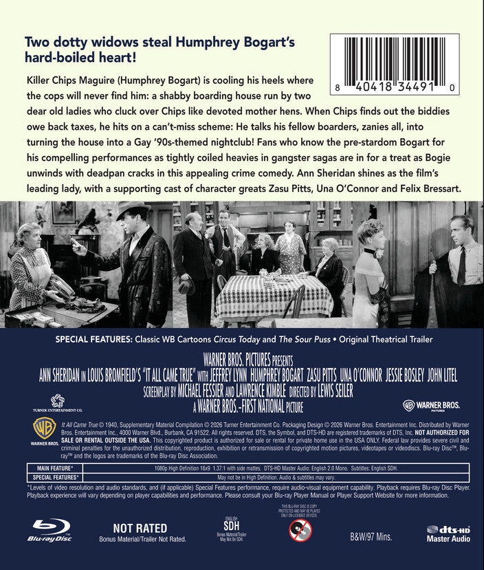 It All Came True - Back Panel - 