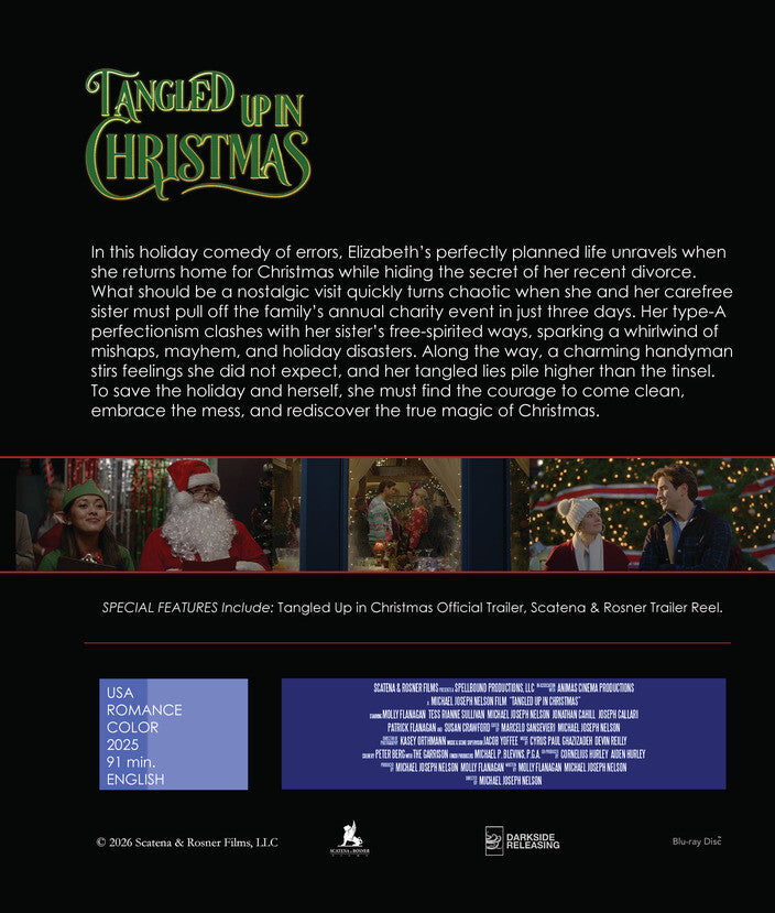 Tangled up in Christmas - Back Panel - 