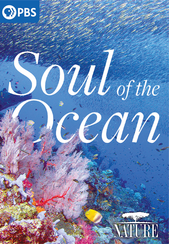 Nature: Soul of the Ocean - 