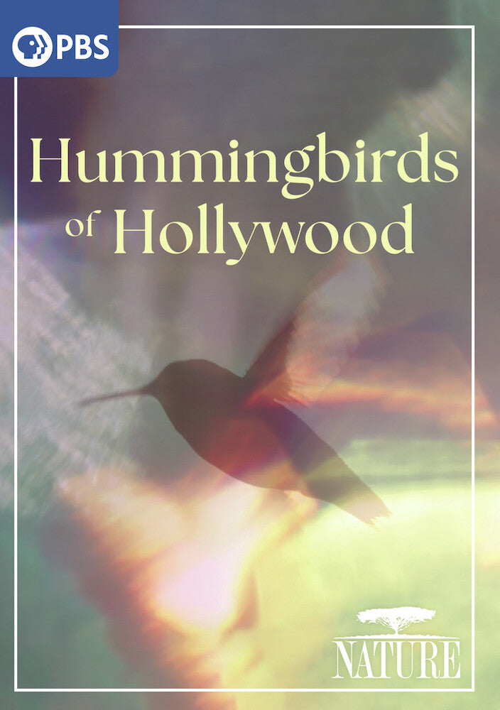 Nature: Hummingbirds of Hollywood - 