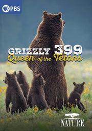 Nature: Grizzly 399 - Queen of the Tetons - 