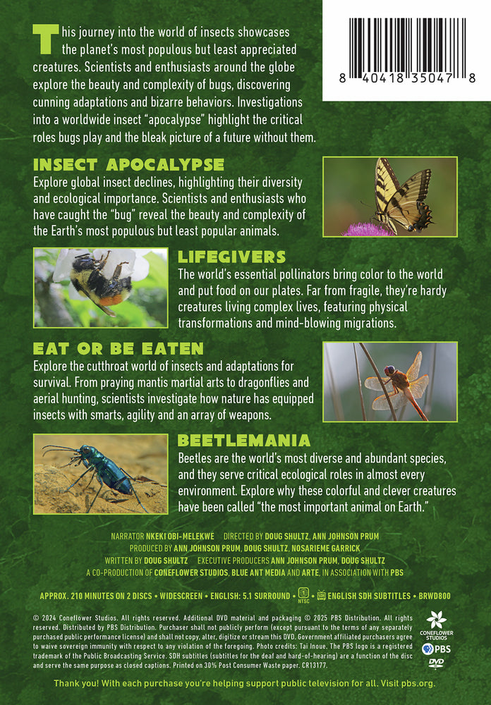 Bugs That Rule the World - Back Panel - 
