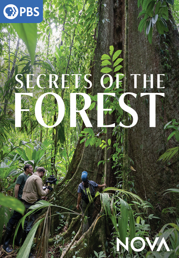 NOVA: Secrets of the Forest - 
