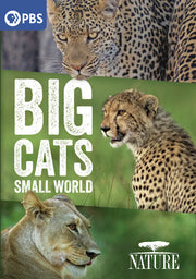 Nature: Big Cats, Small World - 