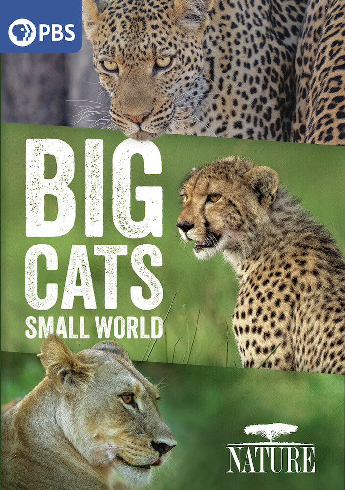 Nature: Big Cats, Small World - 