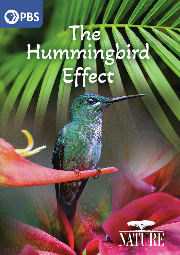 Nature: The Hummingbird Effect - 