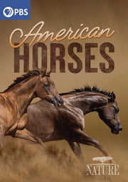 Nature: American Horses - 