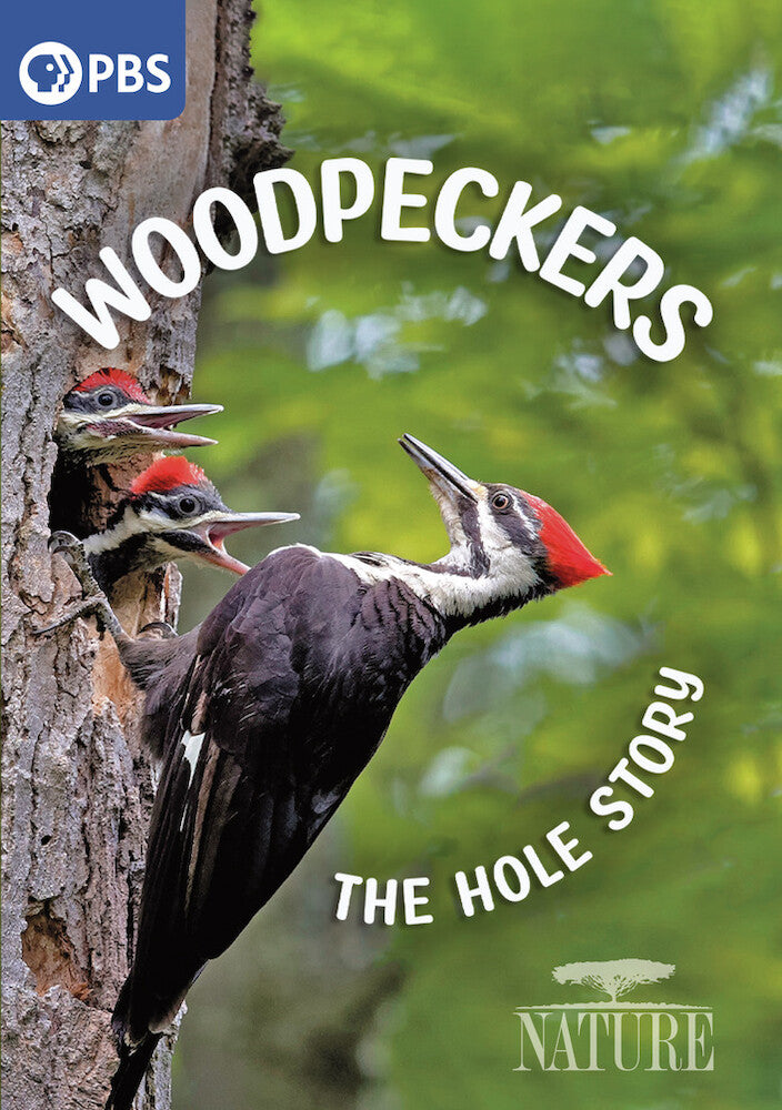 Nature: Woodpeckers - The Hole Story - 