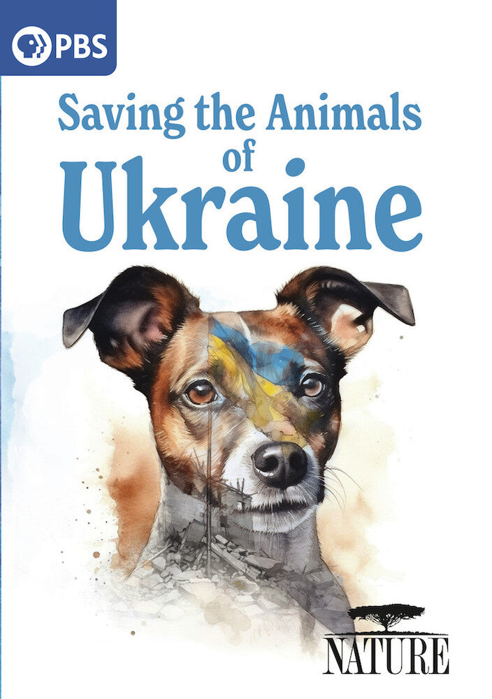 Nature: Saving the Animals of Ukraine - 