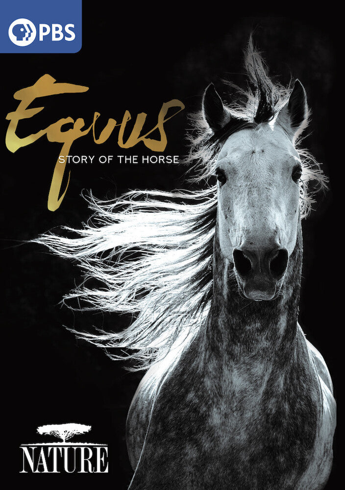 Nature: Equus: Story of the Horse - 