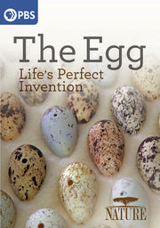 Nature: The Egg - Life's Perfect Invention - 
