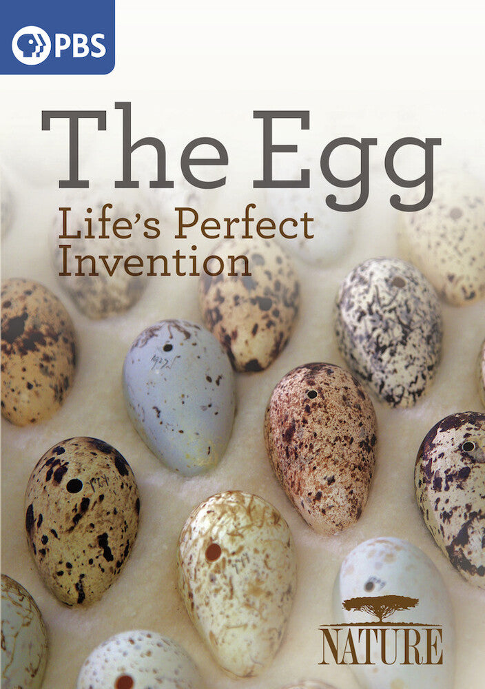Nature: The Egg - Life's Perfect Invention - 